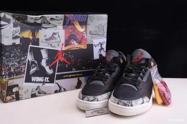 Jordan Retro Instinct CV3583-003 - Animal Air 2.0 3 SE 0809